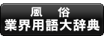 �����ƊE�p��厫�T